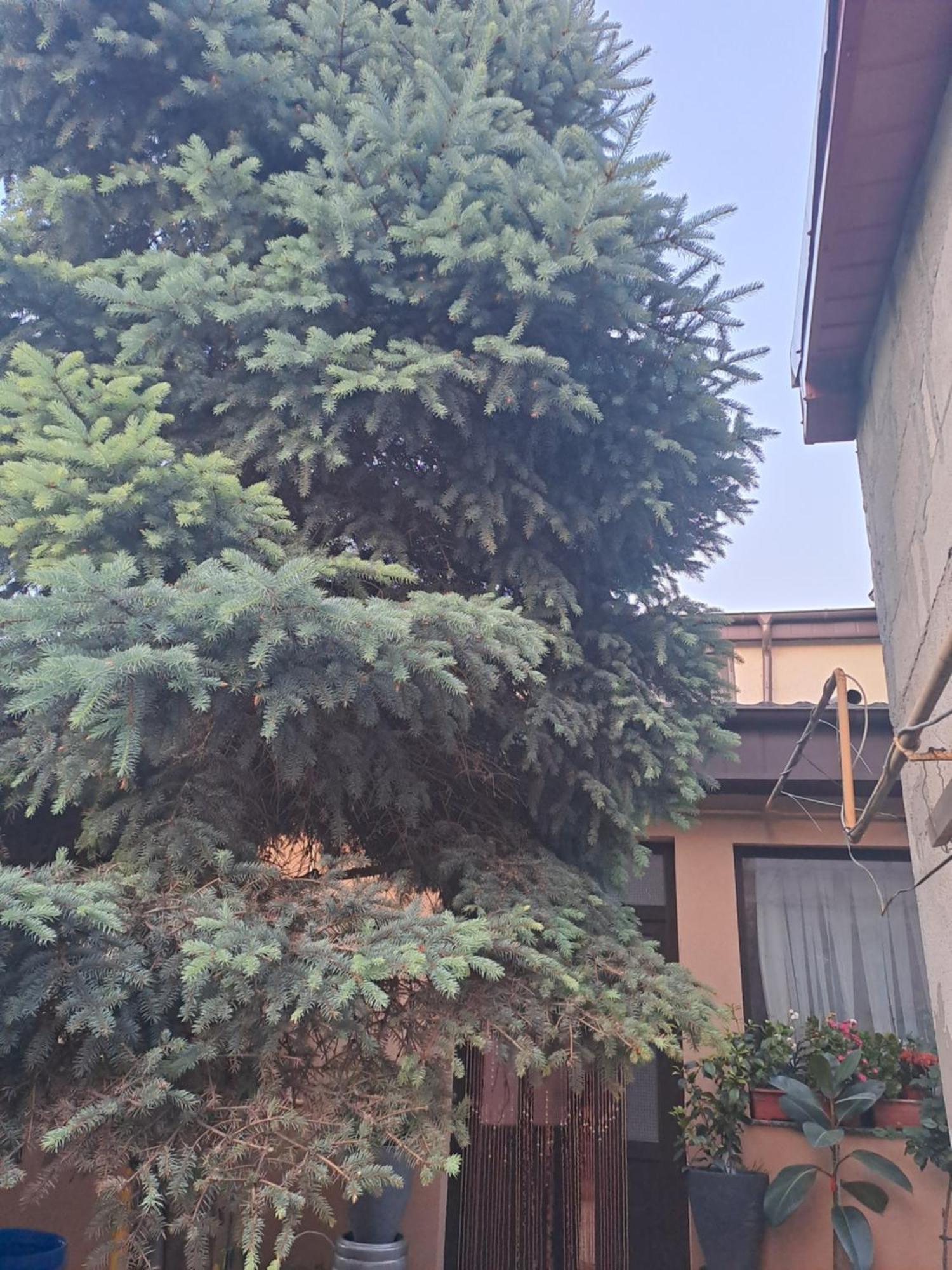 Casa Rusu Apartment Galaţi Екстериор снимка