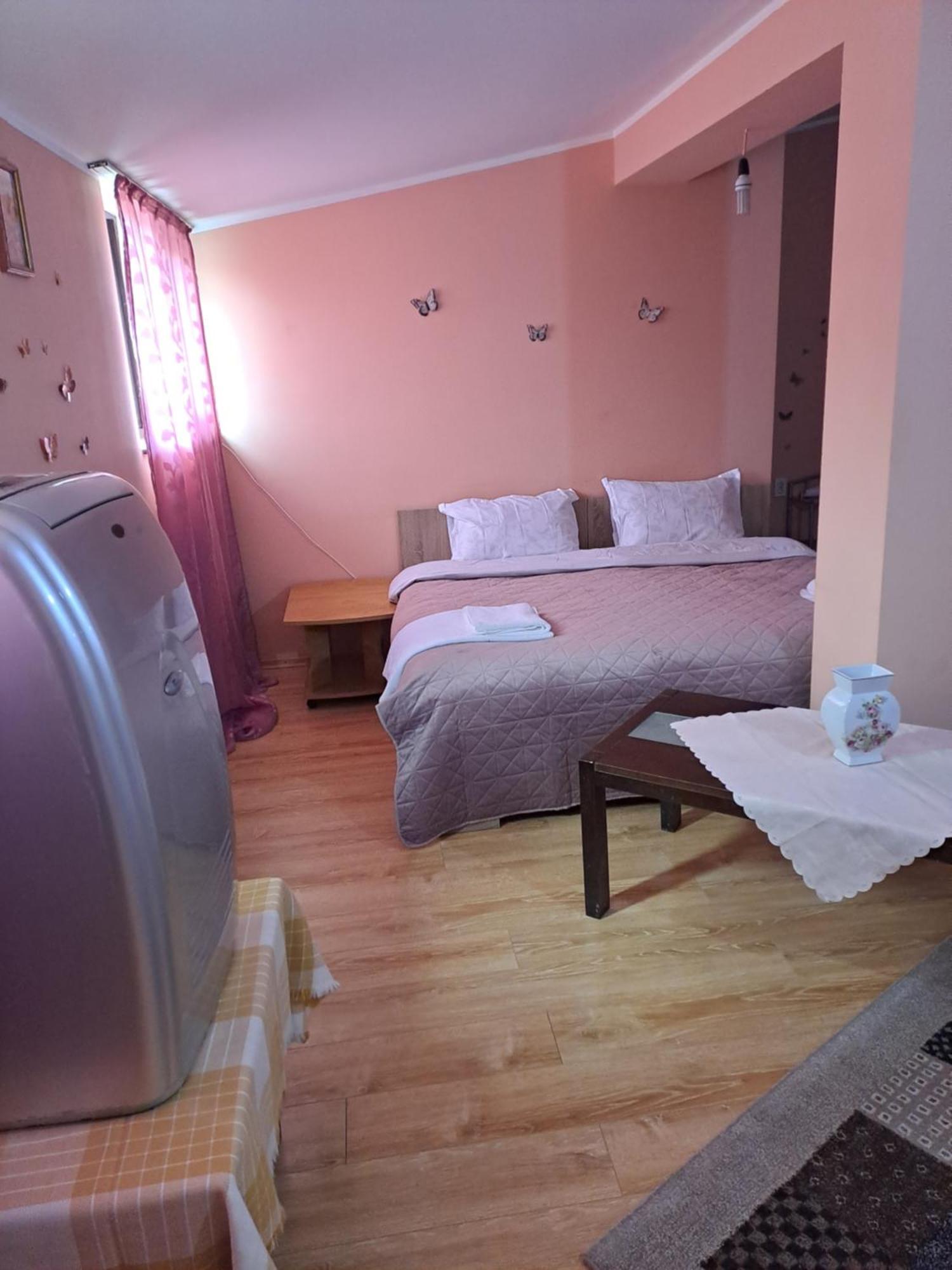 Casa Rusu Apartment Galaţi Екстериор снимка